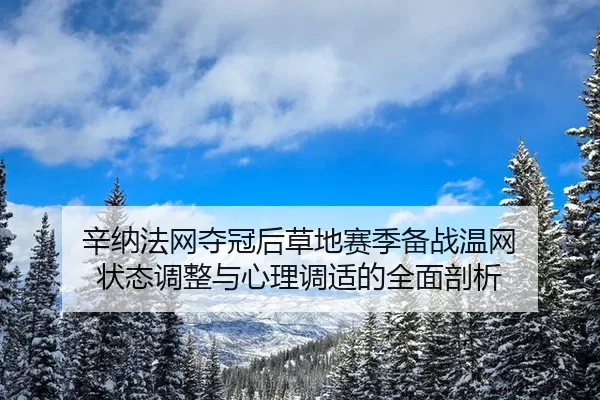 辛纳法网夺冠后草地赛季备战温网 状态调整与心理调适的全面剖析